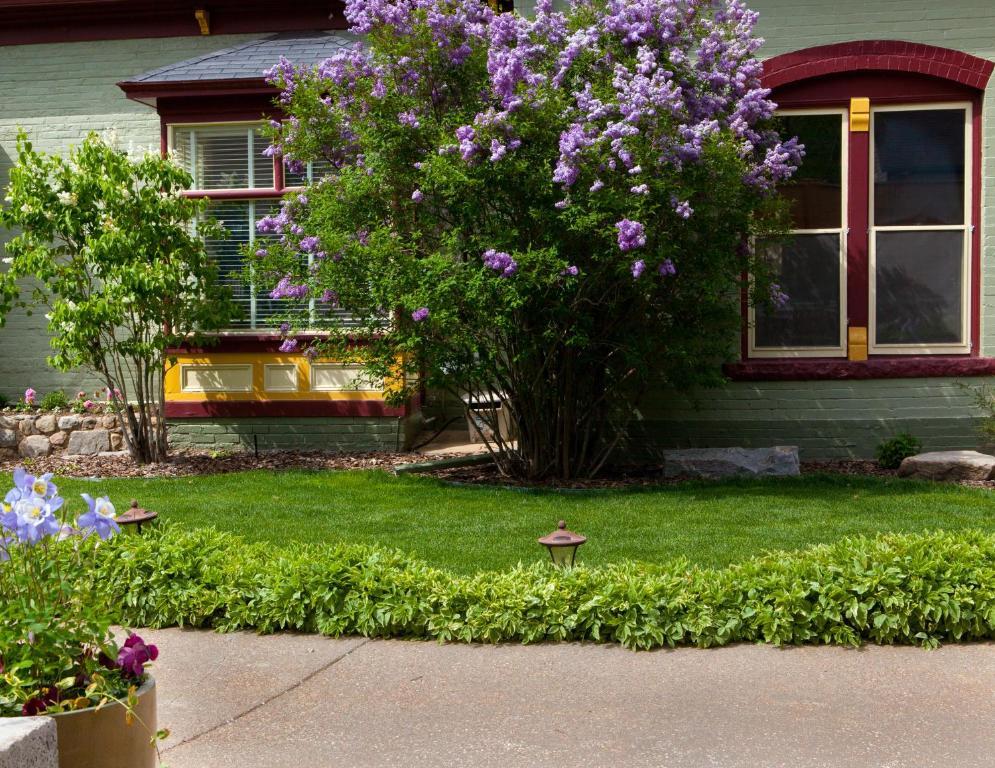 Silver Queen Bed And Breakfast Winter Park Exterior photo